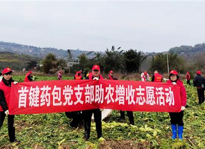 助农收砍青菜头 金沙8888js药包党支部用行动温暖莳植大户的心